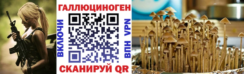 Галлюциногенные грибы мицелий Опочка